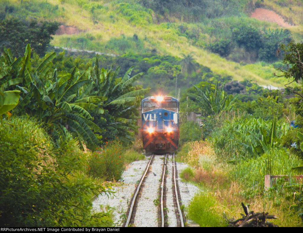 VLI 6028